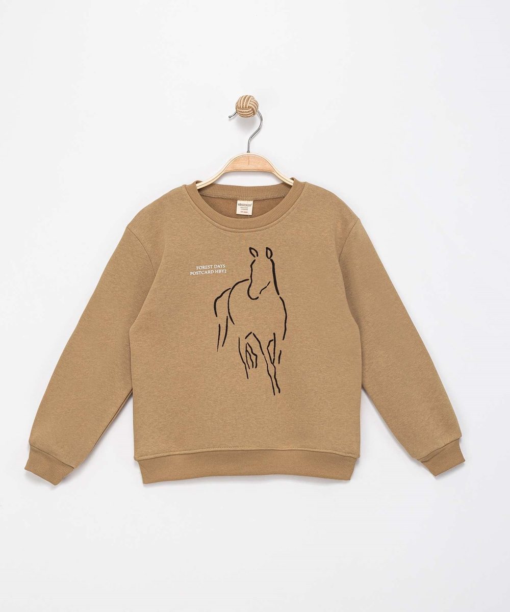 Divonette Boy Sweatshirt horse