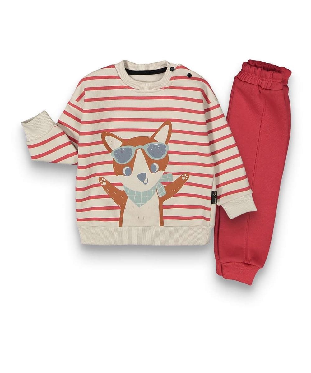 cool pup tracksuit